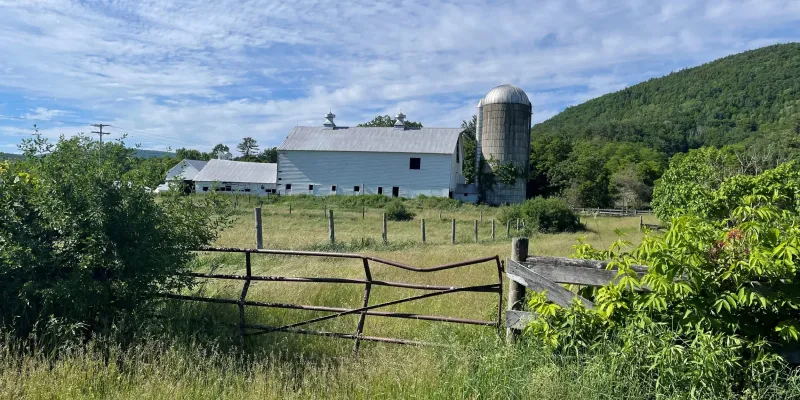 Farms Are Waking Up Around Roxbury: Fresh Finds You Don’t Want To Miss