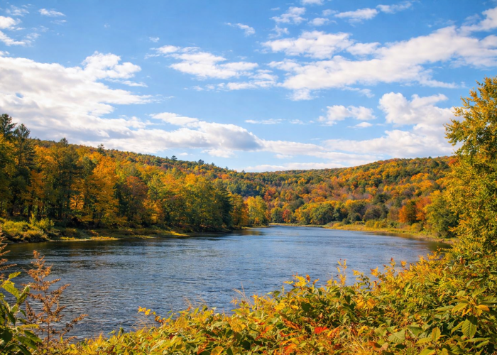 Sunset aerial view of a secluded cabin surrounded by forest and winding roads in the Catskills near Narrowsburg, New York.