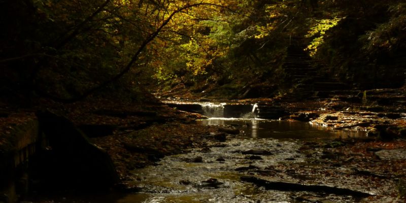 Berkshire Trails Worth the Trek: Top Autumn Hikes and Scenic Views