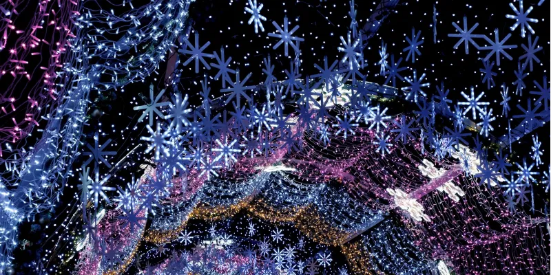 Must-See Holiday Light Shows in Upstate NY (Drive-Through + Walkable Trails)