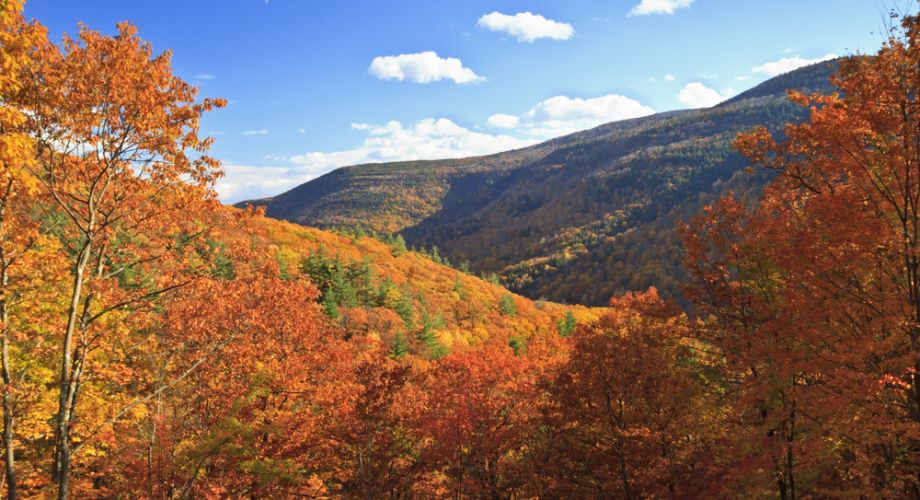 Where to See the Best Fall Foliage in the Catskills Featured Image