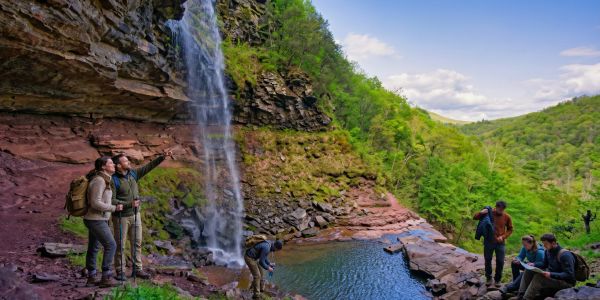 Group of people kayaking near a wooded shoreline on a calm lake during a sunny summer day