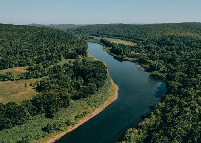 Aerial view of the Delaware River winding through dense green forest and rolling hills near Callicoon, New York on a clear summer day.