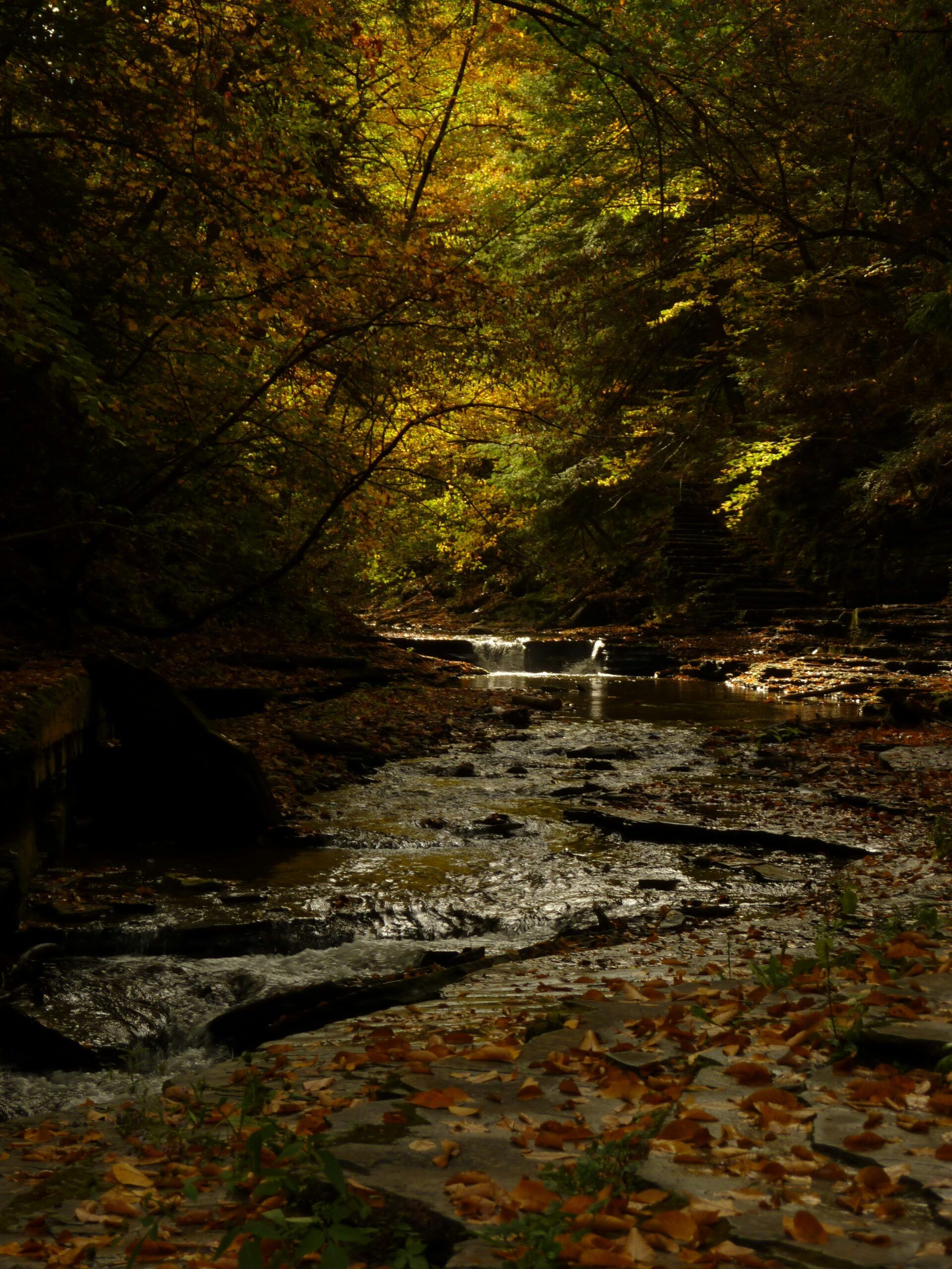 Hiking in the Berkshires