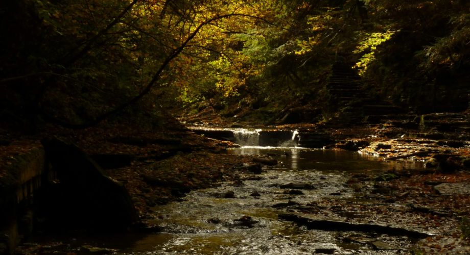 Berkshire Trails Worth the Trek: Top Autumn Hikes and Scenic Views Featured Image