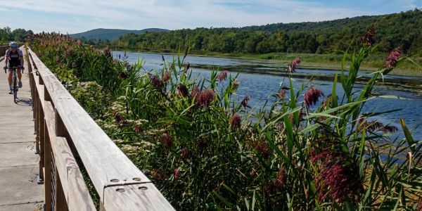 Harlem Valley Rail Trail cycling in Dutchess County