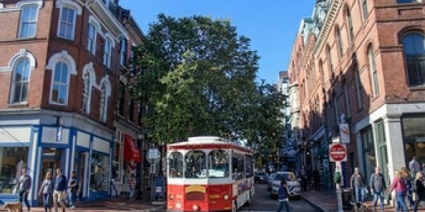 Group of people kayaking near a wooded shoreline on a calm lake during a sunny summer day