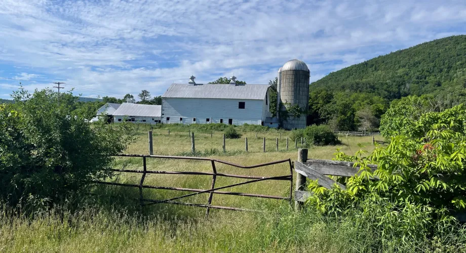 Farms Are Waking Up Around Roxbury: Fresh Finds You Don’t Want To Miss Featured Image