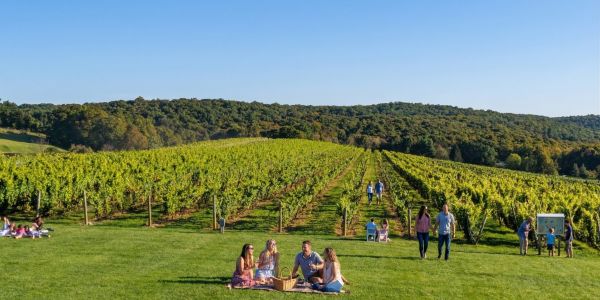 Millbrook Vineyards wine tasting in Dutchess County