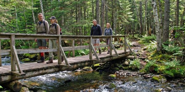 Hikers walking across a wooden footbridge on a forest trail surrounded by trees in the Catskills.