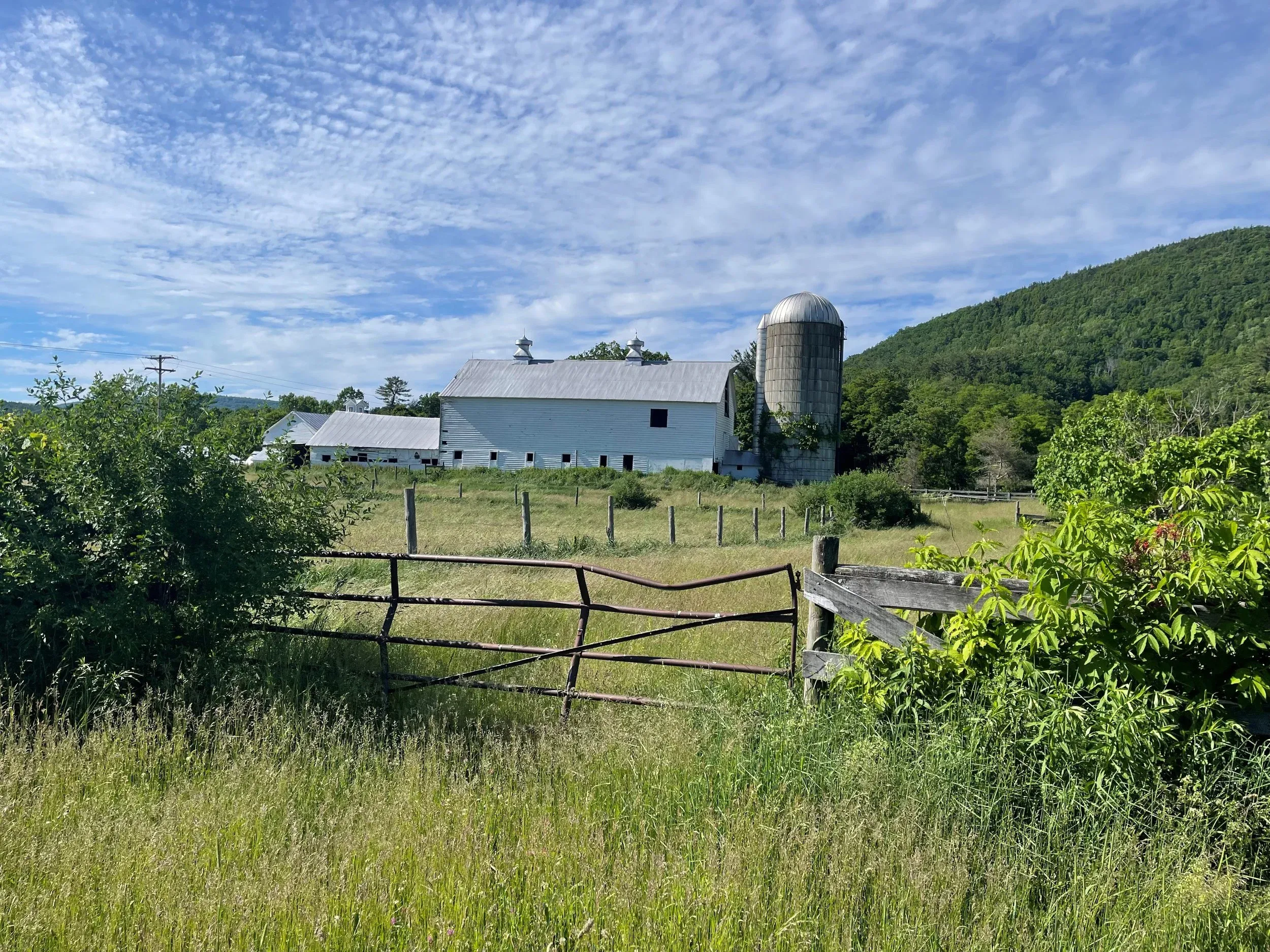 Farms Are Waking Up Around Roxbury