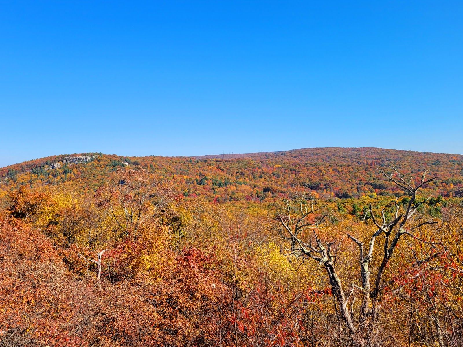 Shawangunk Ridge State Forest Trailhead & Parking Lot Image