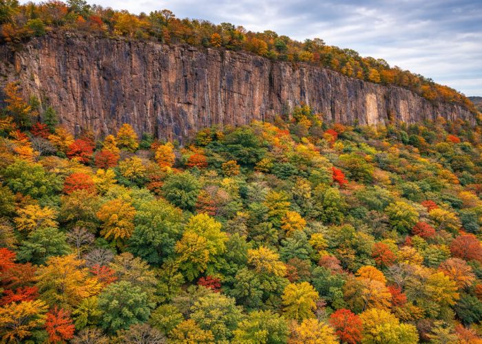 Sheer rock cliffs rising above dense forest in peak autumn foliage near Kingston, New York, with vibrant reds, oranges, and greens.
