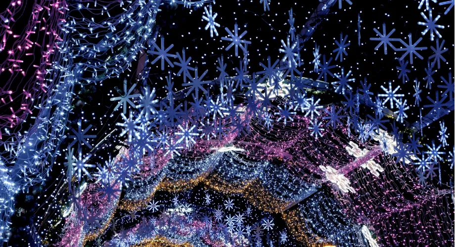 Must-See Holiday Light Shows in Upstate NY (Drive-Through + Walkable Trails) Featured Image