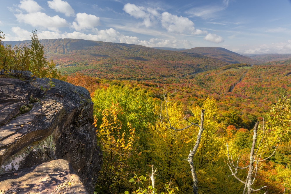 Can't Miss Things to Do in the Catskills - Red Cottage