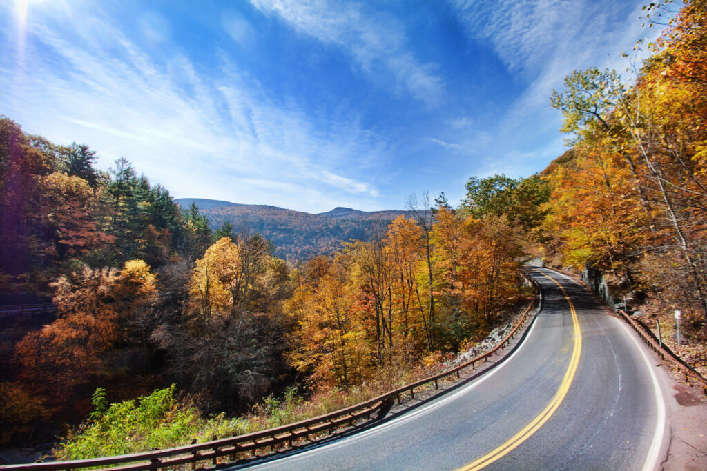 Scenic Tree Lined Country Road In The Catskill Mountains Of