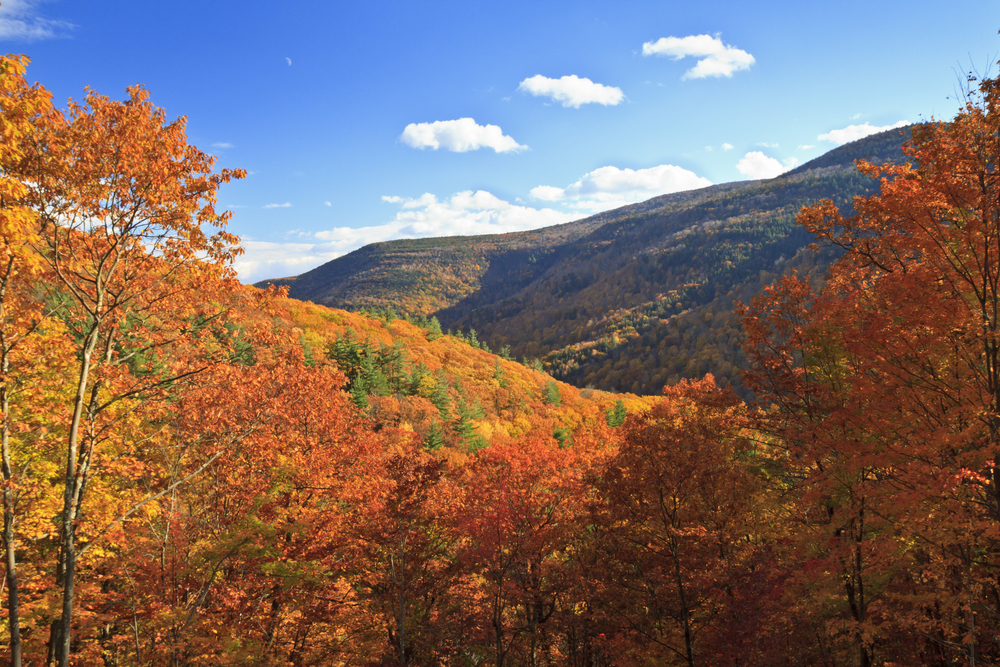 Where to See the Best Fall Foliage in the Catskills Red Cottage