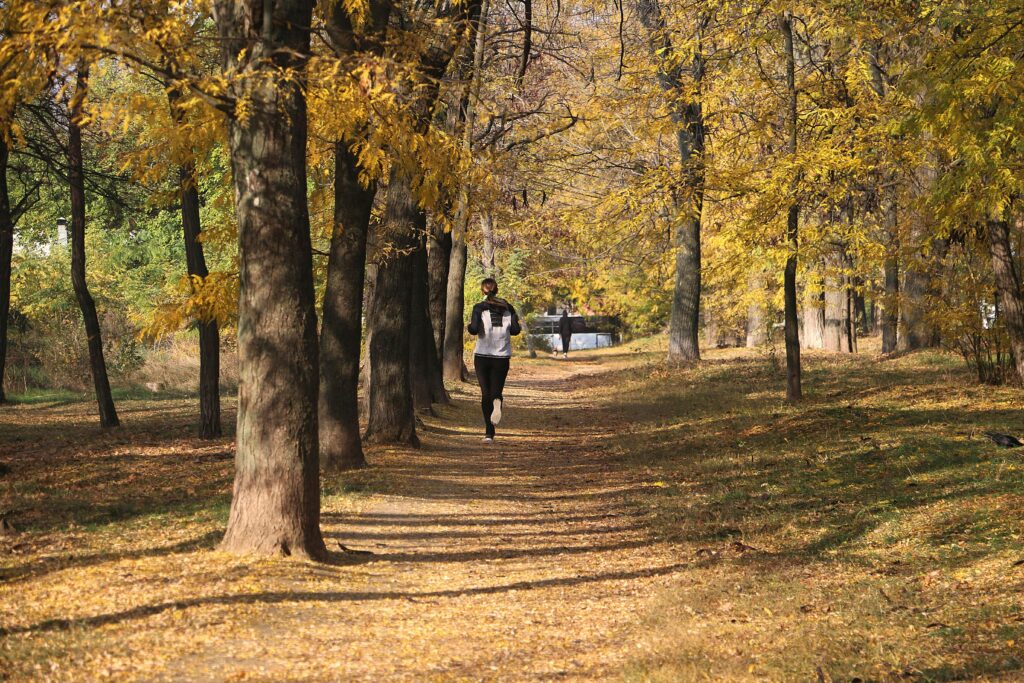 Turkey Trot Thanksgiving Guide Hudson Valley