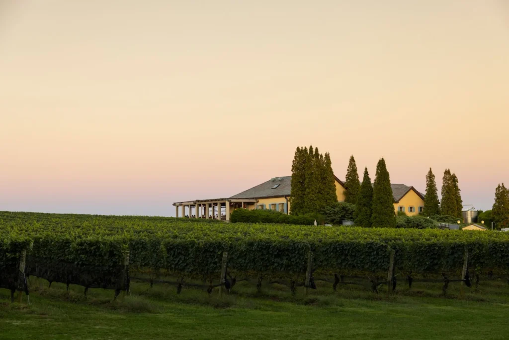 Wolffer Estate Vineyard Hamptons NY Guide