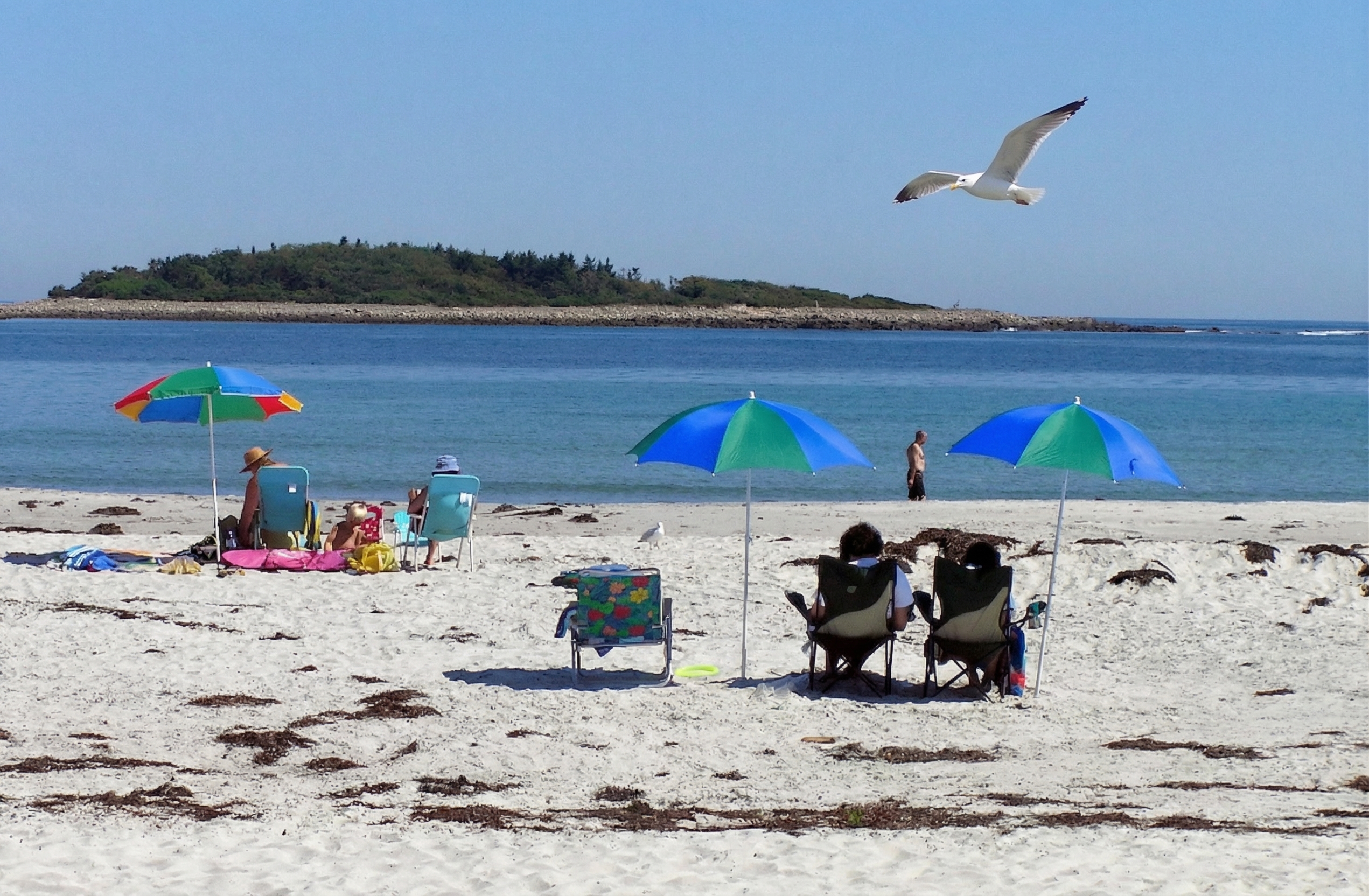 Sandy beach on the Maine coast with gentle waves