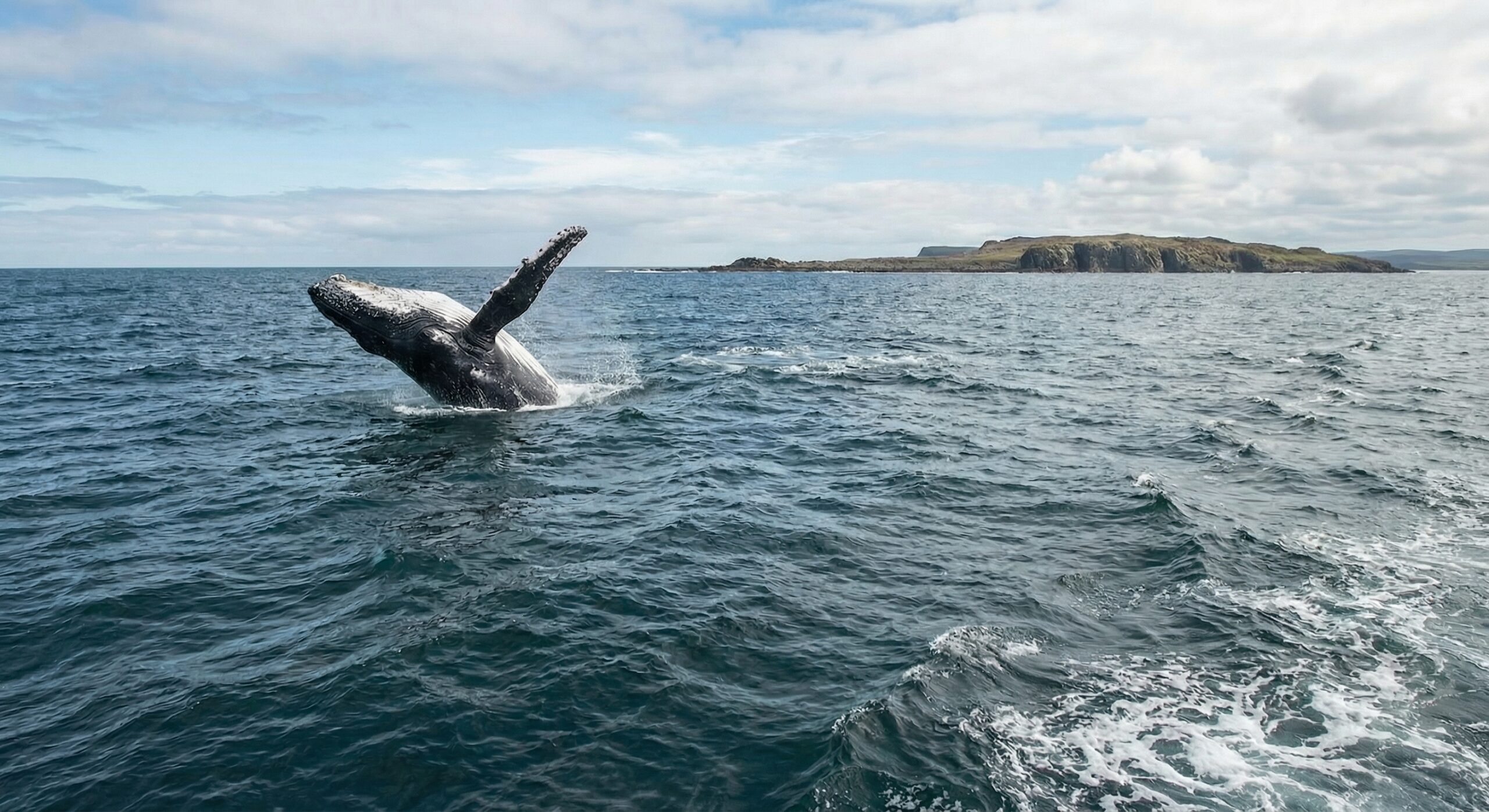 Kayaking along Maine's scenic waterways