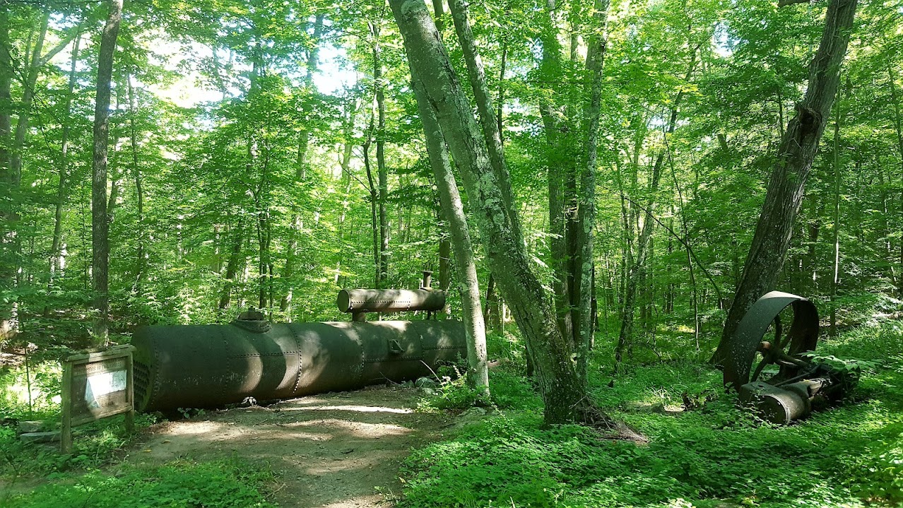 Forest hiking trail through a nature preserve in Fairfield County, Connecticut