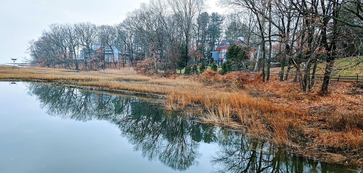 Charming downtown street in a Fairfield County town with shops and restaurants